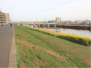 【柏倉のホームタウンの魅力に迫る Vol.2 自然】