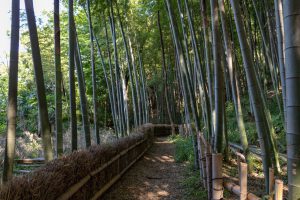 【港北区の住みやすいエリア　―小机編―】